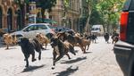 Λευκός Θεός