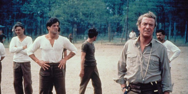 «Victory» (1981)