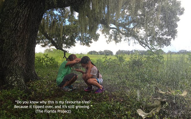 «Ξέρεις γιατί αυτό είναι το αγαπημένο μου δέντρο; Γιατί έχει γείρει, και συνεχίζει να μεγαλώνει». «The Florida Project» του Σον Μπέικερ