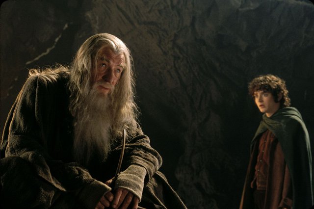 The Lord of the Rings The Fellowship of the Ring (2001)