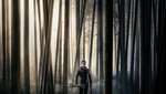 Τρέιλερ: Ο «Ρομπεν των Δασών» ετοιμάζει τα κινηματογραφικά βέλη του