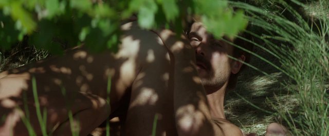  Stranger by the Lake  (2013), του Αλέν Γκιροντί
