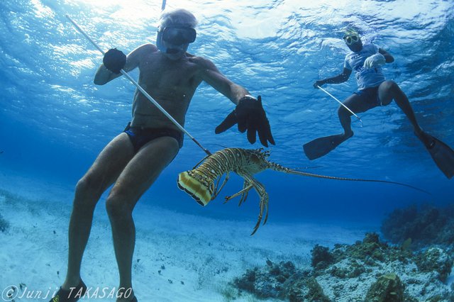 «Dolphin Man»: Αποκλειστικές φωτογραφίες από τον υποβρύχιο κόσμο του Ζακ Μαγιόλ