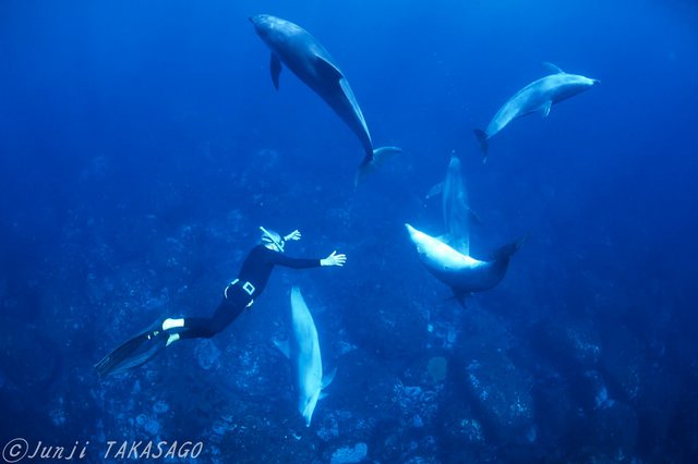 «Dolphin Man»: Αποκλειστικές φωτογραφίες από τον υποβρύχιο κόσμο του Ζακ Μαγιόλ