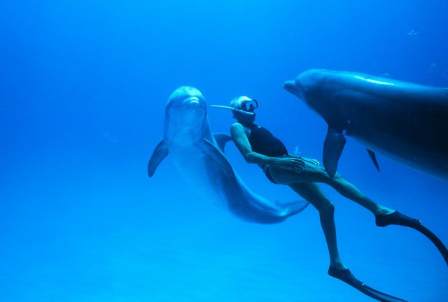 «Dolphin Man»: Αποκλειστικές φωτογραφίες από τον υποβρύχιο κόσμο του Ζακ Μαγιόλ