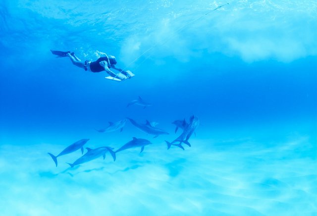 «Dolphin Man»: Αποκλειστικές φωτογραφίες από τον υποβρύχιο κόσμο του Ζακ Μαγιόλ