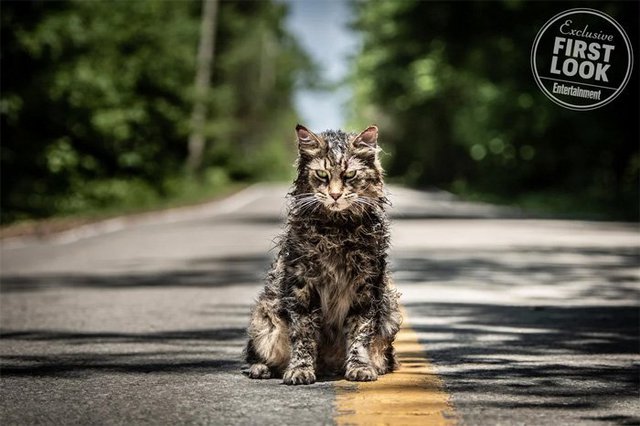 Το «Pet Sematary» του Στίβεν Κινγκ «ζωντανεύει» ξανά στη μεγάλη οθόνη με νέο τρέιλερ