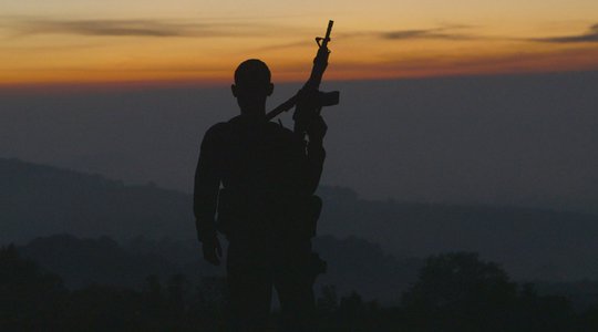 Η Γη των Καρτέλ / Cartel Land