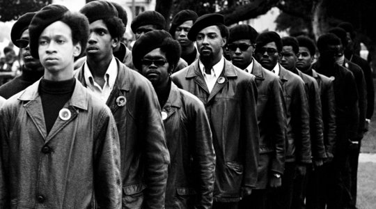 Μαύροι Πάνθηρες: Μαχητές της Επανάστασης / The Black Panthers: Vanguard of the Revolution