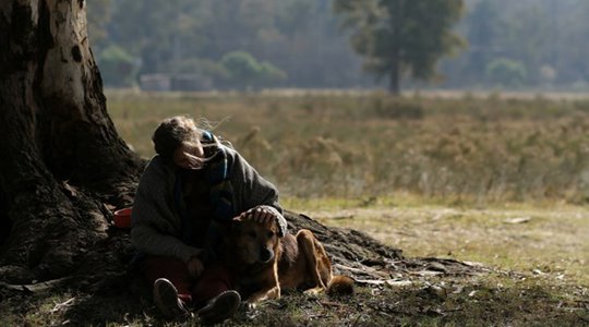 Η Κυρία των Σκύλων / La Mujer de los Perros