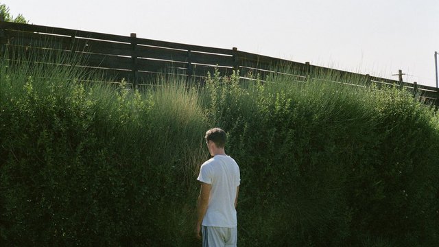 Βίντεο: Ο «Κυνόδοντας» και οι απαρχές του λανθιμικού σύμπαντος