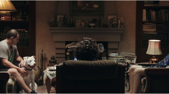 Athens Open Air Film Festival - μικρού μήκους