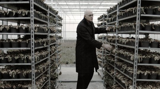 The Laboratory Diaries: A Study on Human Adjustment - Focus on Yorgos Drivas
