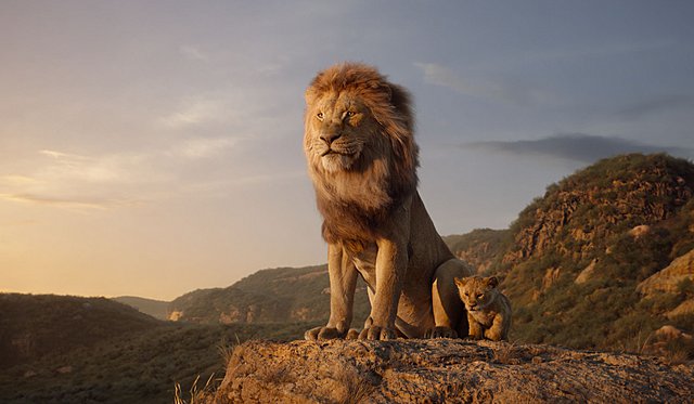 Ο Βασιλιάς των Λιονταριών