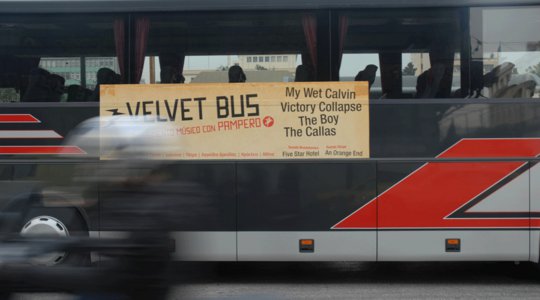 Velvet Bus