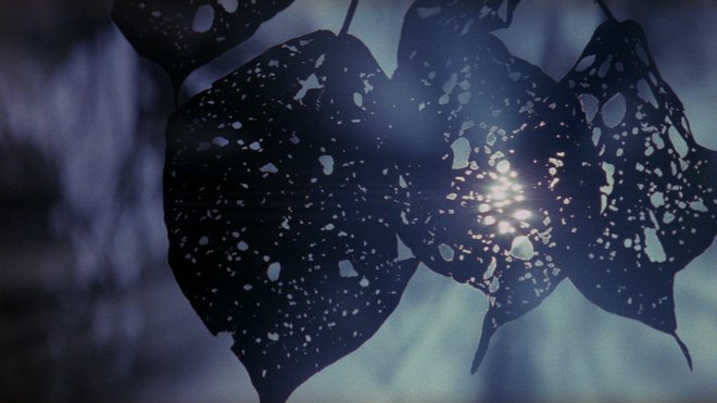 «Η Λεπτή Κόκκινη Γραμμή» (1998) Φωτογράφος: Τζον Τολ