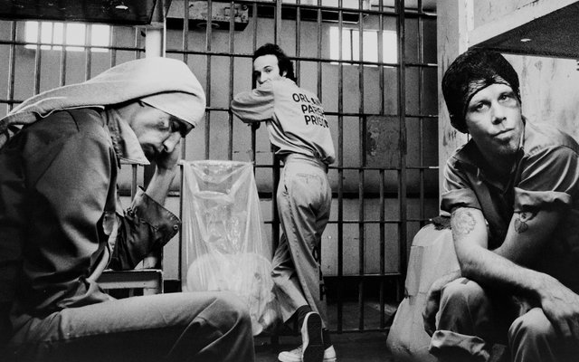 Στην Παγίδα του Νόμου