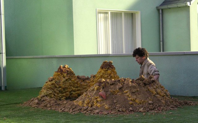 Vivarium