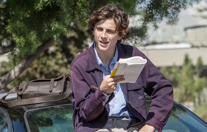 «Πασχαλίτσα» (Ladybird, 2017) της Γκρέτα Γκέργουιγκ