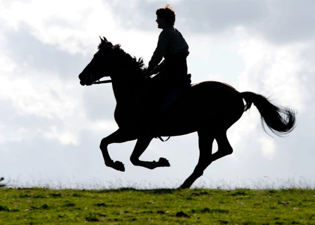 Τρέιλερ: Run, horse, run! 
