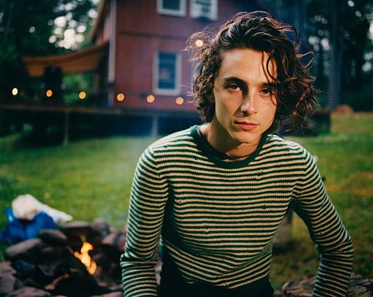 Ο Τιμοτέ Σαλαμέ δηλώνει ότι υπάρχουν ακόμα πιθανότητες να παίξει τον Μπομπ Ντίλαν