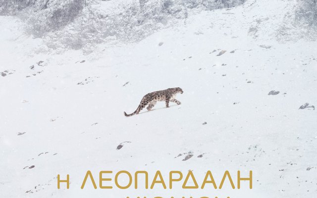 Η Λεοπάρδαλη του Χιονιού
