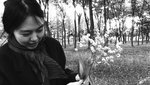 Η Ιστορία μιας Μυθιστοριογράφου