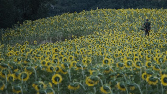 Το σινεμά είναι οι άνθρωποί του: Τα 14 highlights του 14ου Φεστιβάλ Εθνογραφικού Κινηματογράφου της Αθήνας