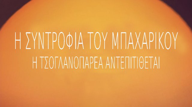 (Α)Κατάλληλοι Ελληνικοί Τίτλοι: Οι ταινίες του Φεβρουαρίου (2024 Edition)