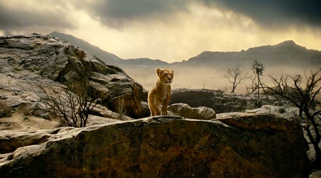 Πρώτες εικόνες από το «Μufasa: The Lion King»