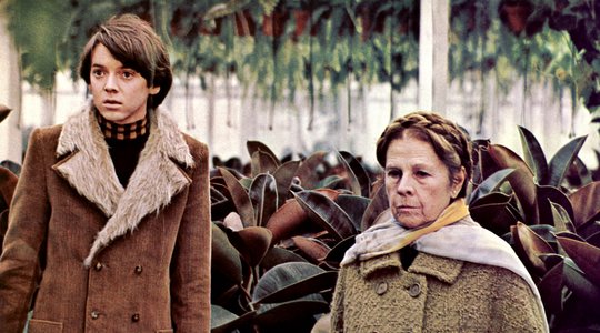 Harold and Maude