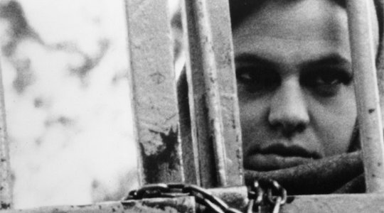 The Bloody Child (1996)