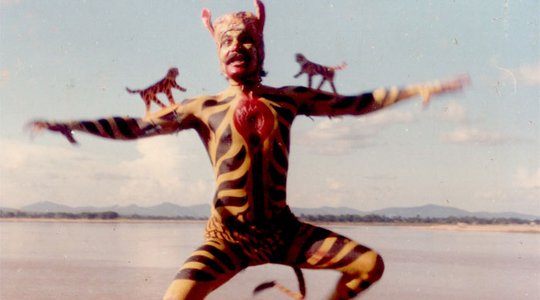 The Tiger Man - Bagh Bahadur