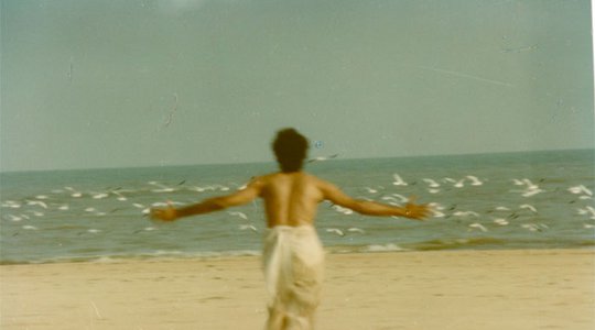 Shelter of the Wings - Charachar