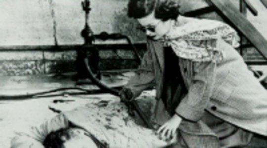 The Reckless Moment (1949)