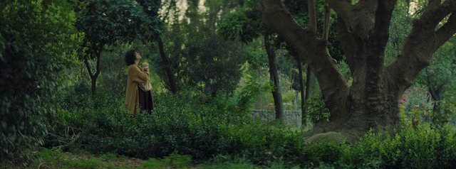 2ο Πανόραμα Κυπριακών Ταινιών στο Ίδρυμα Μιχάλη Κακογιάννη: Αναλυτικό πρόγραμμα