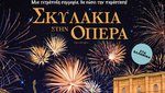 Σκυλάκια στην Όπερα