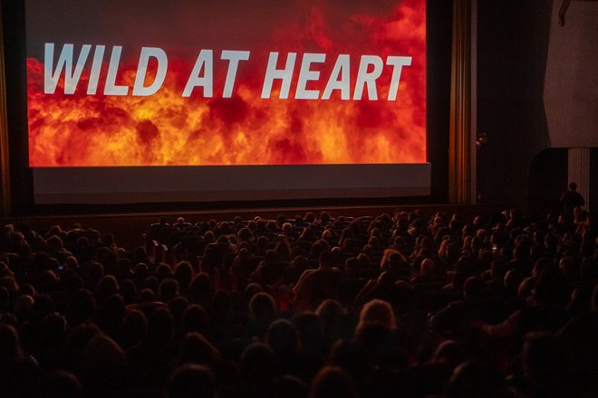 Νύχτες Λιντς: Φωτογραφίες από το αφιέρωμα «David Lynch: The Complete Filmography» των Νυχτών Πρεμιέρας