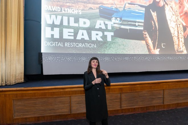 Νύχτες Λιντς: Φωτογραφίες από το αφιέρωμα «David Lynch: The Complete Filmography» των Νυχτών Πρεμιέρας