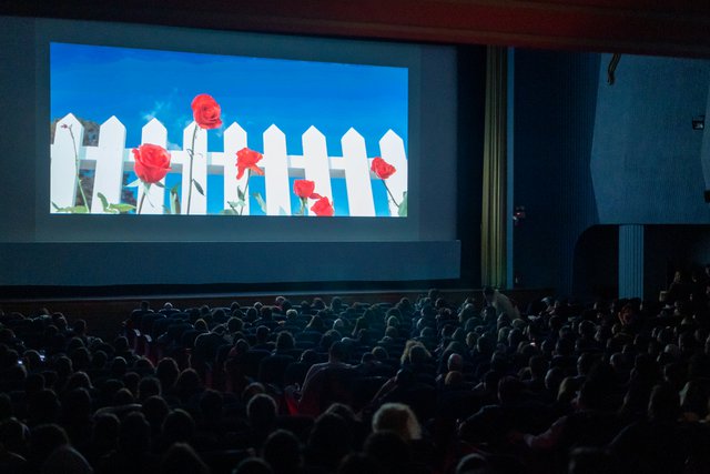 Νύχτες Λιντς: Φωτογραφίες από το αφιέρωμα «David Lynch: The Complete Filmography» των Νυχτών Πρεμιέρας