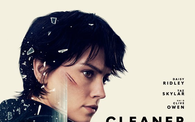 Cleaner