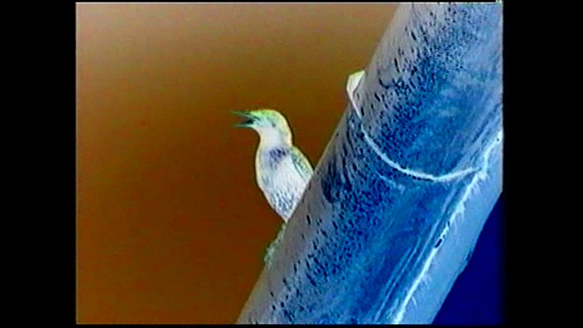 Η μικρού μήκους «Ανάσα» της Βίβιαν Παπαγεωργίου στο 70th Cork International Film Festival