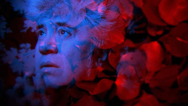 Πέδρο 24, τσεκ: Το «Bitter Christmas» σημειώνει την επιστροφή Αλμοδόβαρ στην Ισπανία του