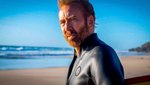 The Surfer