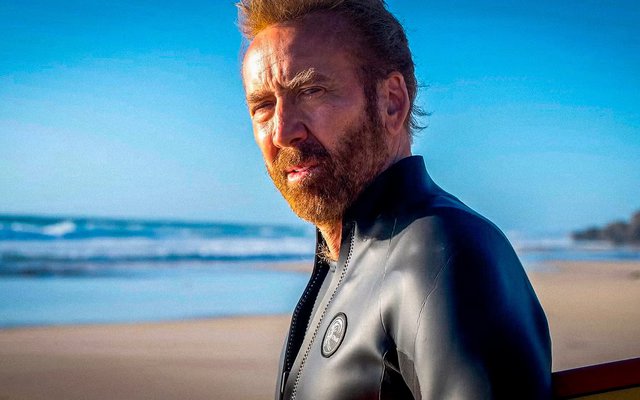 The Surfer