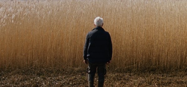 REEDLAND | RIETLAND