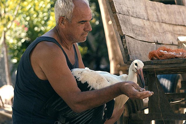 Μετά το οσκαρικό «Honeyland», η Ταμάρα Κοτέφσκα φέρνει τον υπέροχο «Μύθο του Σίλιαν» στις Νύχτες Πρεμιέρας