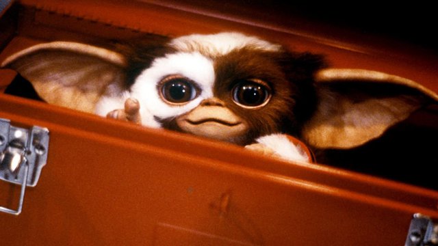 «Gremlins», ξανά! O Στίβεν Σπίλμπεργκ επιστρέφει στην παραγωγή και ο Κρις Κολόμπους συγγράφει «Gremlins», ξανά! O Στίβεν Σπίλμπεργκ επιστρέφει στην παραγωγή και ο Κρις Κολόμπους συγγράφει