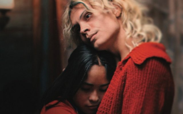 Το Μυστηριώδες Βλέμμα του Ροζ Φλαμίνγκο 