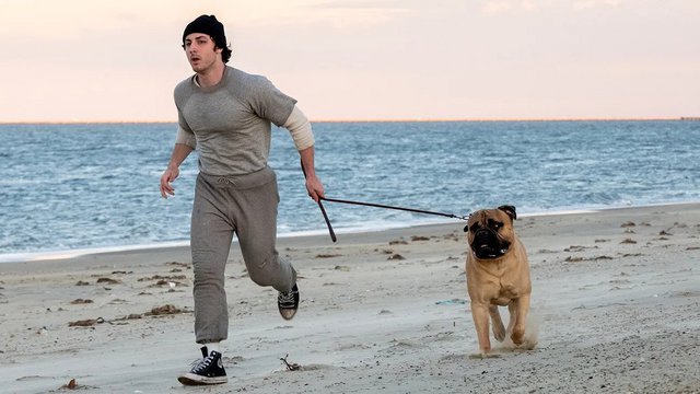 «I Play Rocky»: Ο Πίτερ Φαρέλι σκηνοθετεί την ιστορία που έκανε σταρ τον Σιλβέστερ Σταλόνε